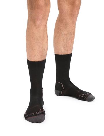 Black / Mink Icebreaker Merino Hike+ Light Crew Men's Socks | AU 1041GSOL